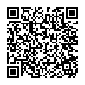 PLUGGYAPE malicious software QR code