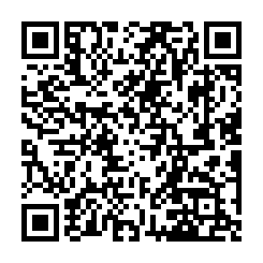 Fake Plume airdrop QR code