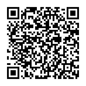 Pretpark Tours fake inquiry QR code