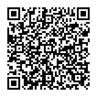 $Priceless Treasury Allocation crypto drainer QR code