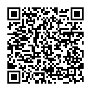 Ads by proadrast.com QR code