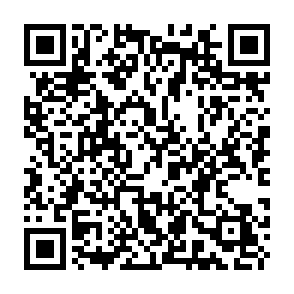 probe-portal.com browser hijacker QR code