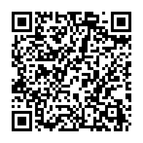 Ads by procedigly.com QR code