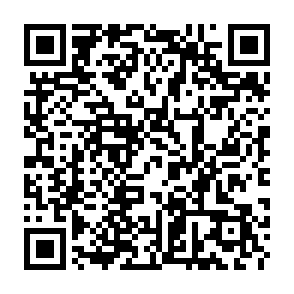 Ads by progresstransit.co.in QR code