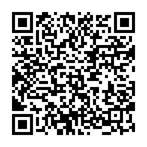 Fake Project Dapps Main Net website QR code