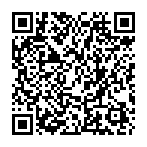 PROMPTSTEAL virus QR code