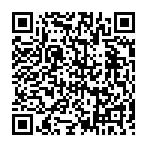 Ads by ptifirelaria.com QR code