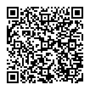 Fake Pudgy Penguins ($PENGU) Rewards website QR code