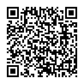 Fake $PUNCH giveaway QR code