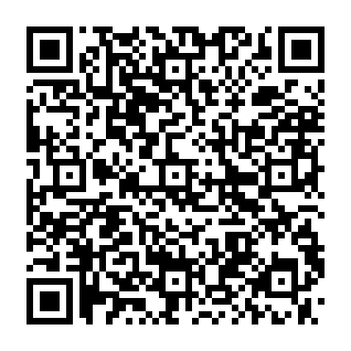 PunkStrategy ($PNKSTR) Vote Rewards crypto drainer QR code