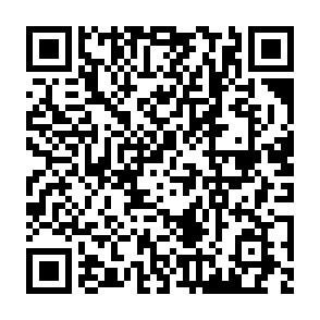 Fake Qubetics Airdrop QR code