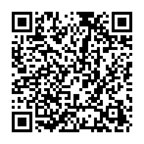 QuirkyLoader virus QR code