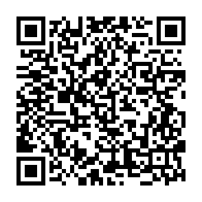 .RABBIT virus QR code