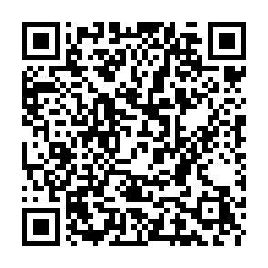 Fake rainbowfish ($FISH) token giveaway QR code