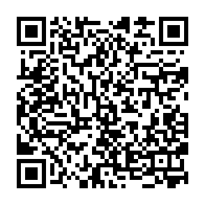 RALEIGHRAD virus QR code