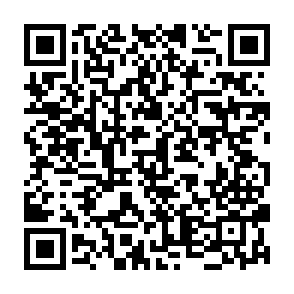 Redgov virus QR code