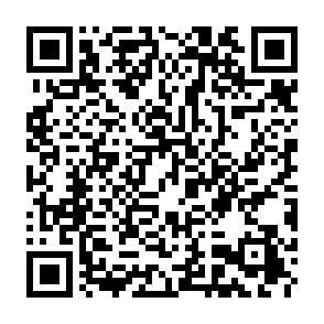 Fake RedStone Vote Reward website QR code