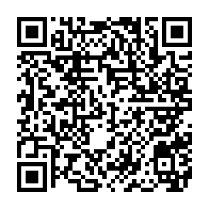 Regulus virus QR code
