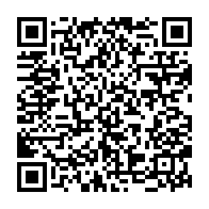 $REKT Airdrop crypto drainer QR code