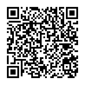 REVSTEALER infostealer QR code