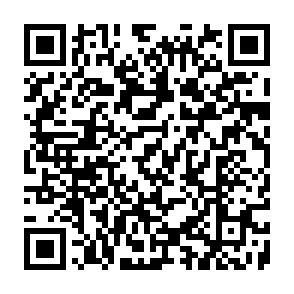 Fake Reward Portal QR code