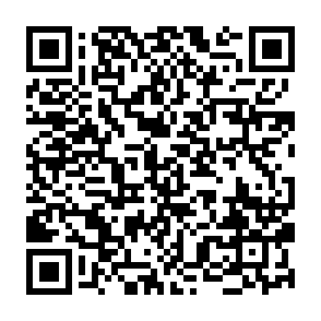 Reynolds virus QR code