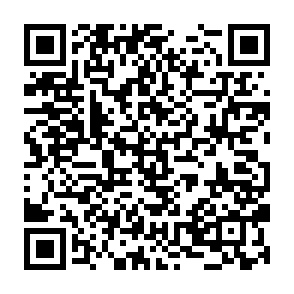 Fake $RUDI Pre-sale site QR code