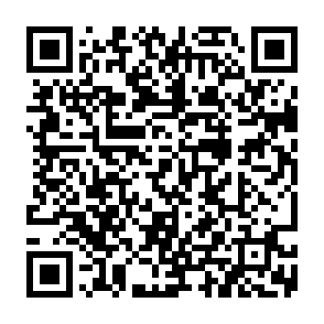 Fake SafariBookings quote request QR code
