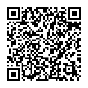 SafeLocker virus QR code