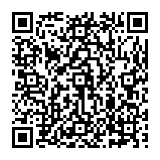 Rapid Image Search browser hijacker QR code