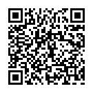 SecuriDex ads QR code