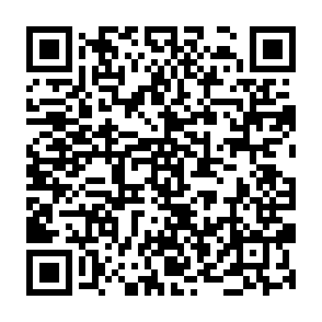SeedSnatcher stealer QR code