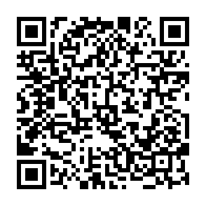Ads by sephicatielly.com QR code
