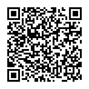 Services Update phishing email QR code