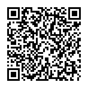 Ads by Servileness.app QR code