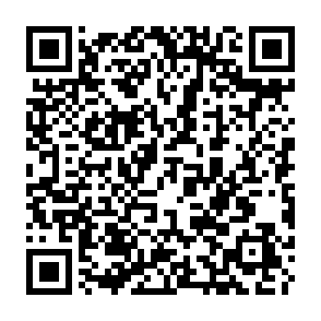 Ads by sesifors.com QR code