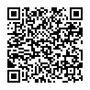 Fake SetLayer ($SLAY) giveaway QR code