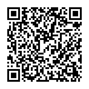 Ads by shansmis.co.in QR code