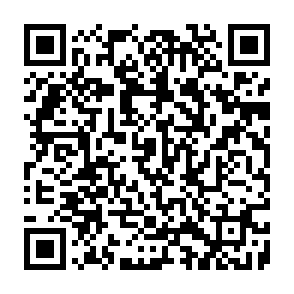 SharkStealer information stealer QR code
