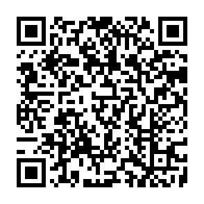 Fake Shiba giveaway QR code