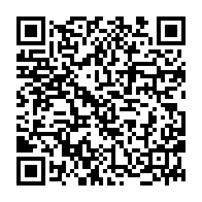 signalqueryhub.com browser hijacker QR code