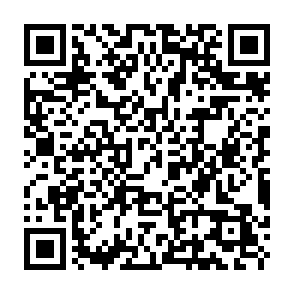 Ads by signalreconnect.co.in QR code