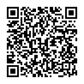 Sinobi virus QR code