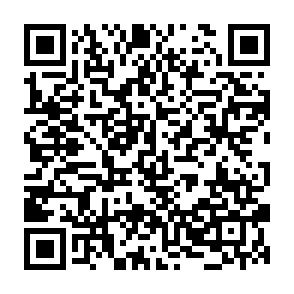 SnakeBiteAgent remote access trojan QR code