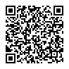 SnappyClient remote administration trojan QR code