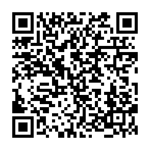 Snoonaut ($SNOOT) Airdrop crypto drainer QR code