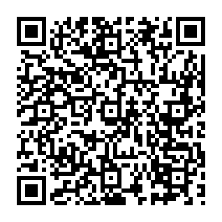 Fake Sol Incinerator Token Burn platform QR code