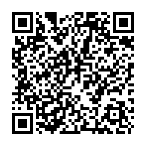 Solana L2 Presale scam website QR code