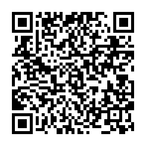 Solana (SOL) Multiplier crypto drainer QR code