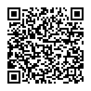 Fake Solaxy (SOLX) giveaway QR code